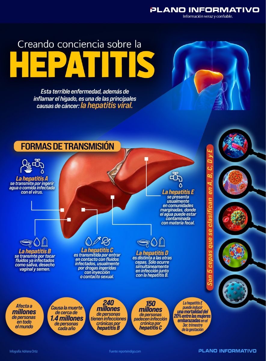 Tipos De Hepatitis Y Cómo Se Transmiten